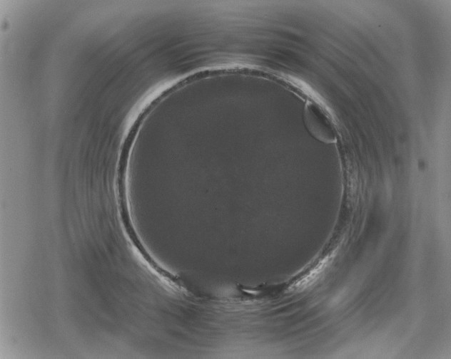 X0000078840943200611201310