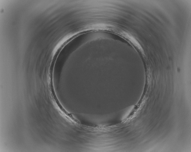 X0000078840944200611201310