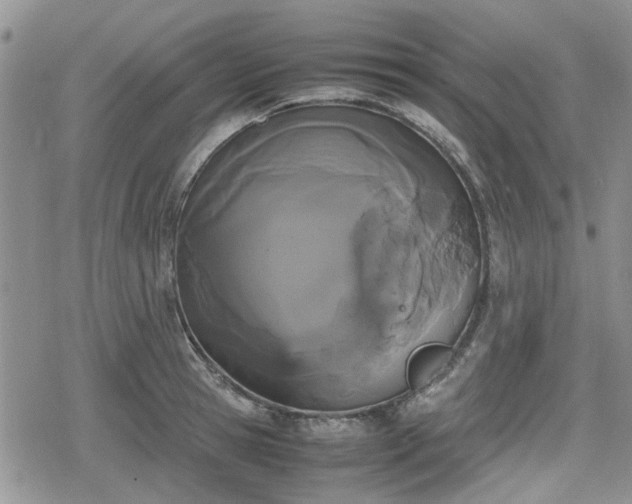 X0000078840945200611201310