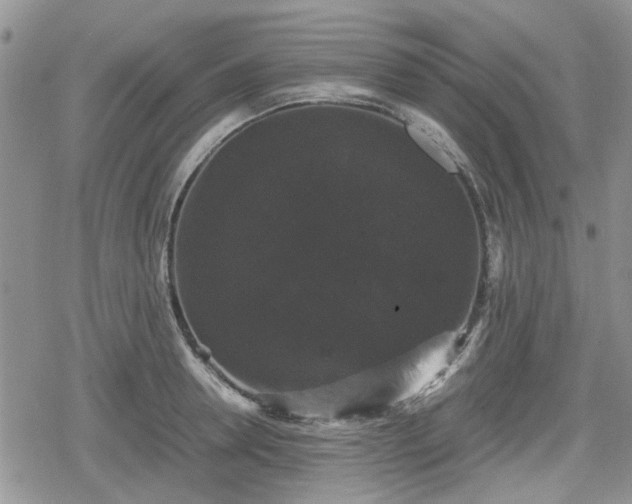 X0000078840946200611201310