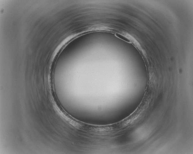 X0000078840947200611201310