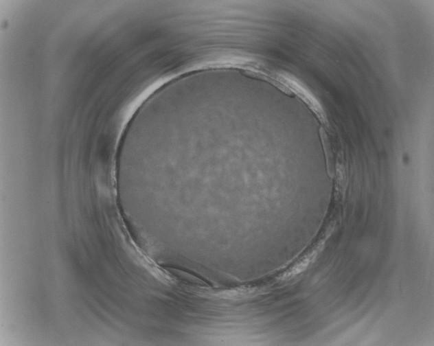 X0000078840948200611201310