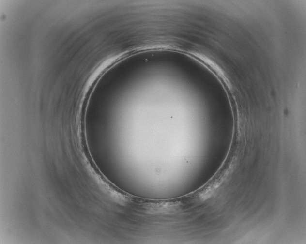 X0000078840949200611201310