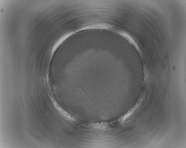 X0000078840952200611201310