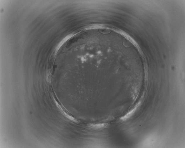 X0000078840953200611201310