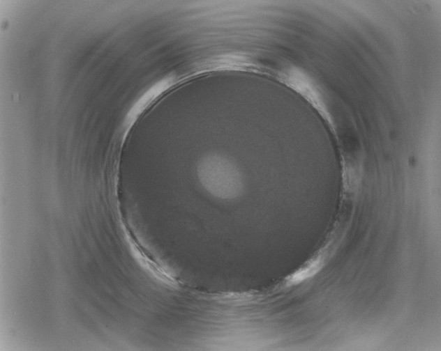 X0000078840954200611201310