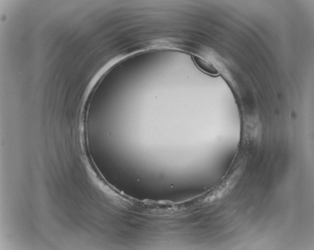 X0000078840955200611201310