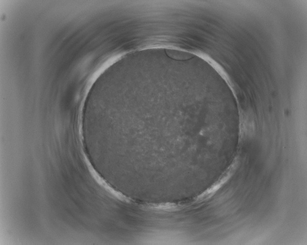 X0000078840957200611201310