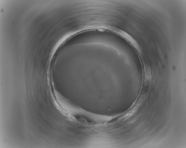 X0000078840958200611201310