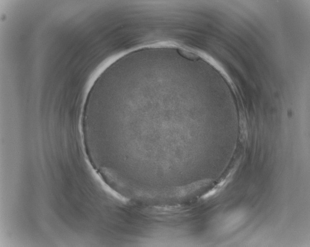 X0000078840959200611201310