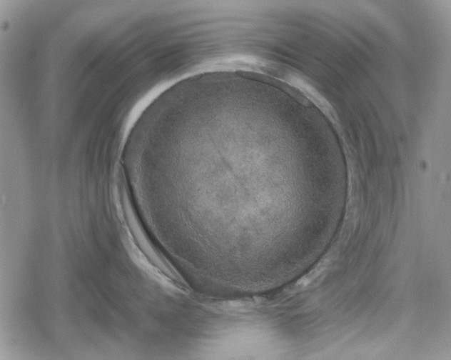 X0000078840960200611201310