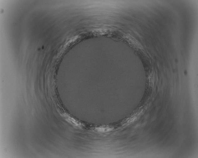 X0000078840961200611201309