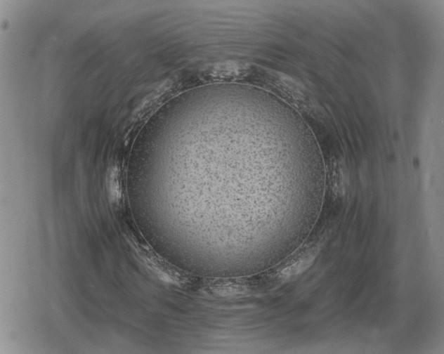 X0000078840962200611201309