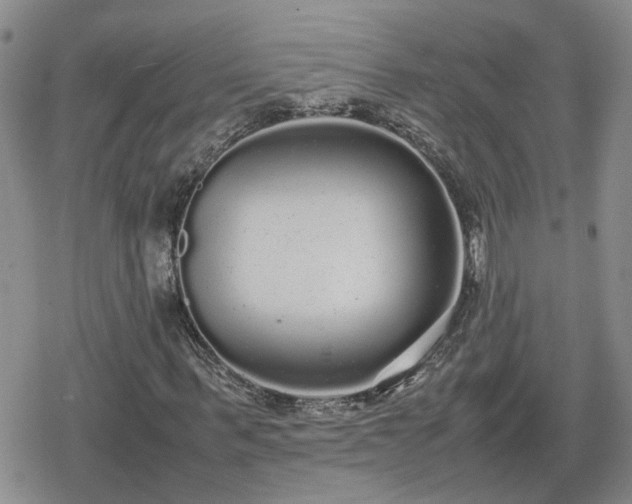 X0000078840963200611201309