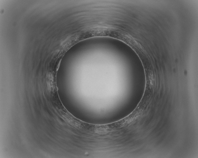 X0000078840964200611201309