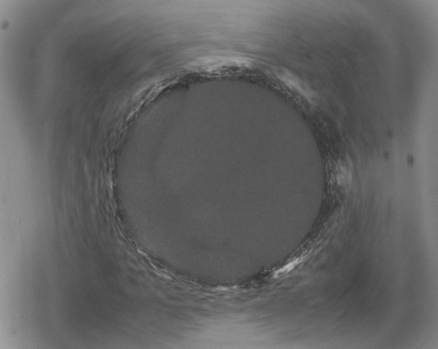 X0000078840965200611201309