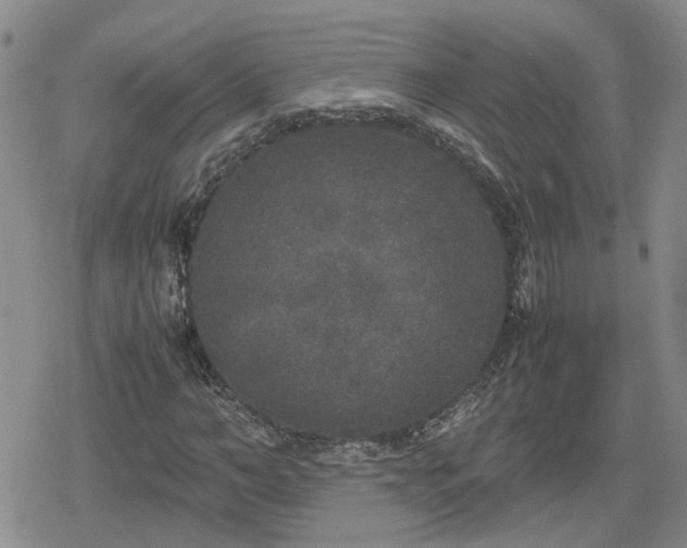 X0000078840966200611201309