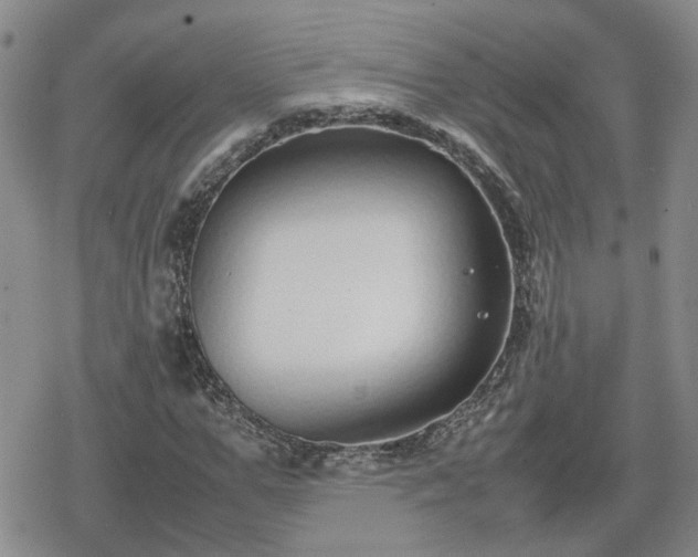 X0000078840967200611201309