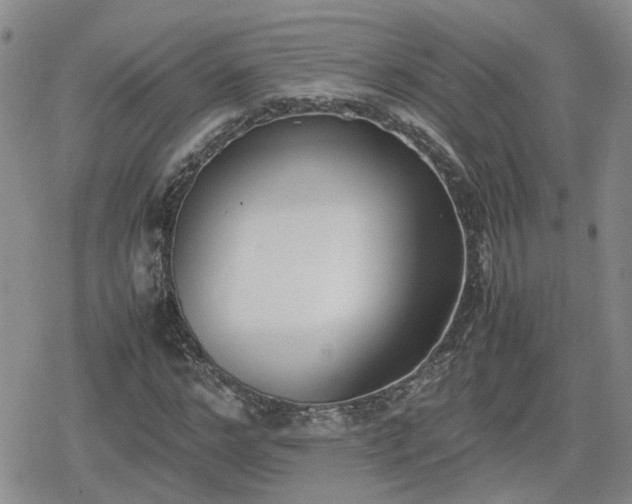 X0000078840968200611201309