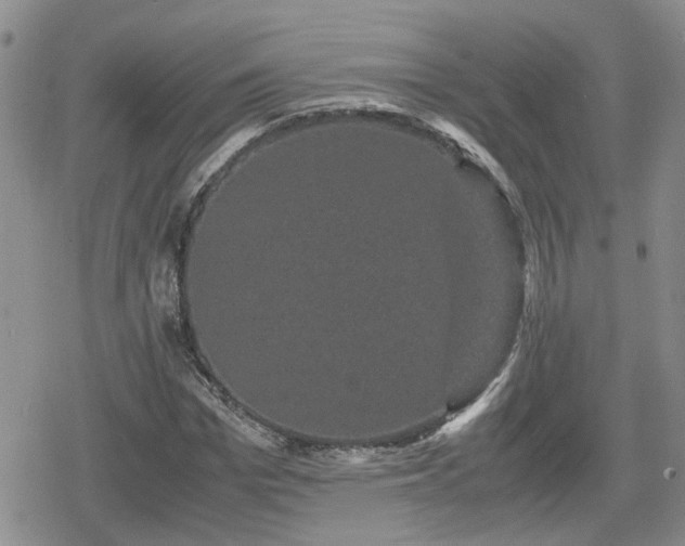 X0000078840969200611201309