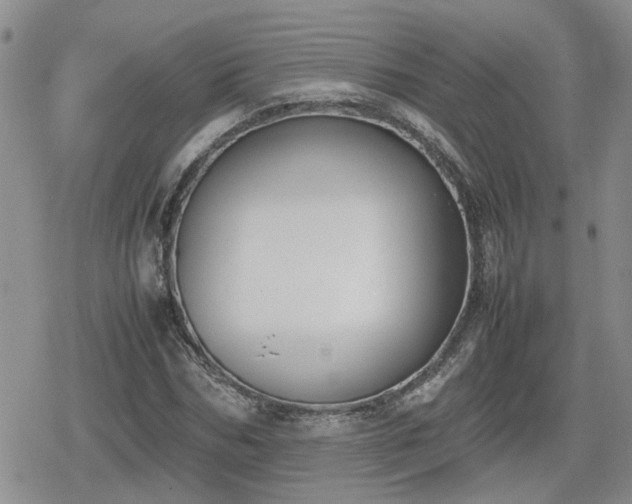 X0000078840970200611201309