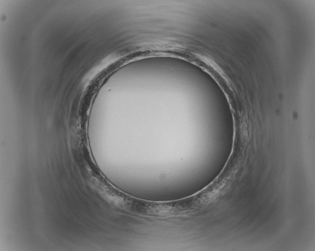 X0000078840971200611201309