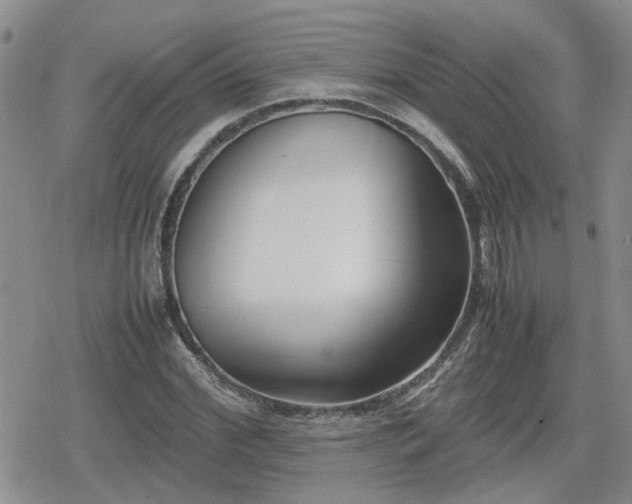 X0000078840972200611201309