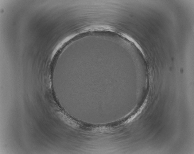 X0000078840973200611201309