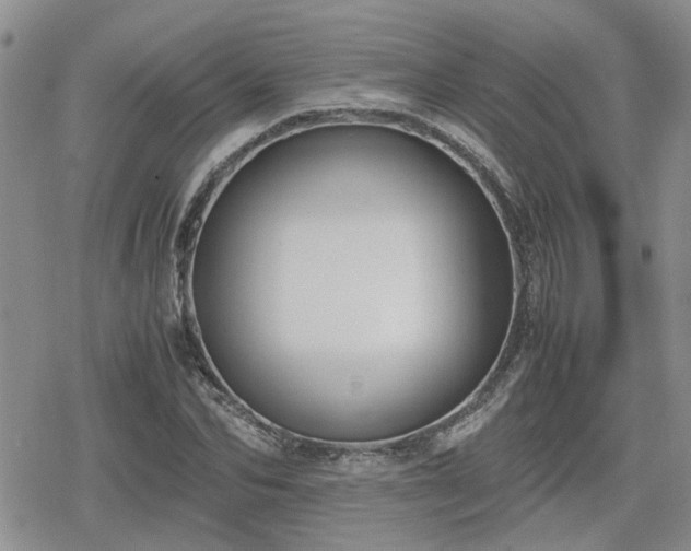 X0000078840974200611201309