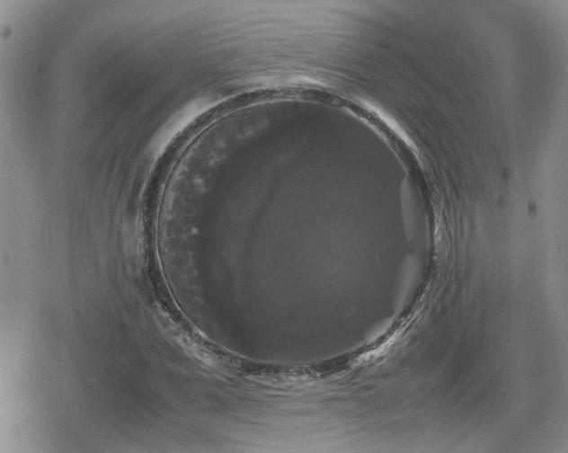 X0000078840975200611201309