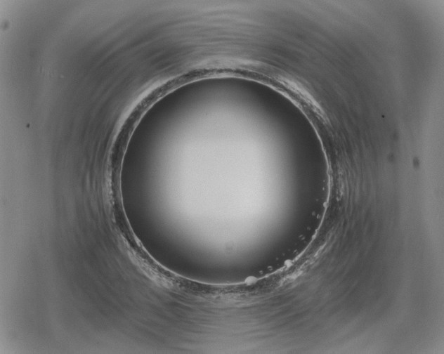 X0000078840976200611201309