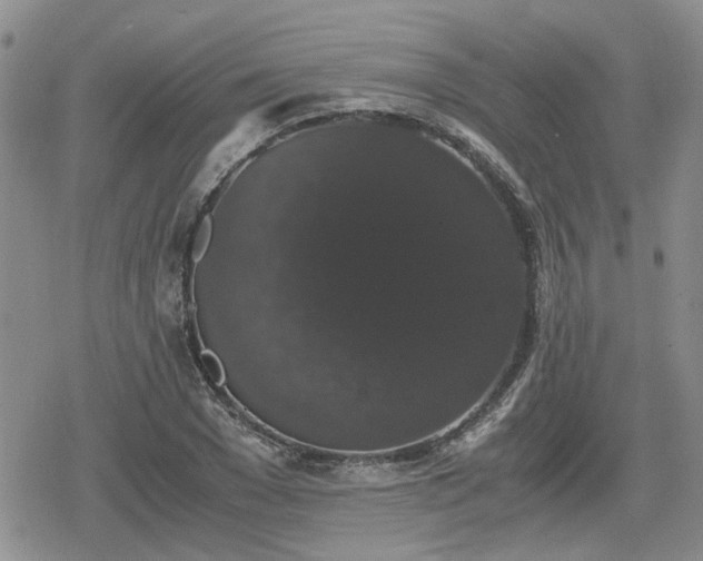 X0000078840977200611201309