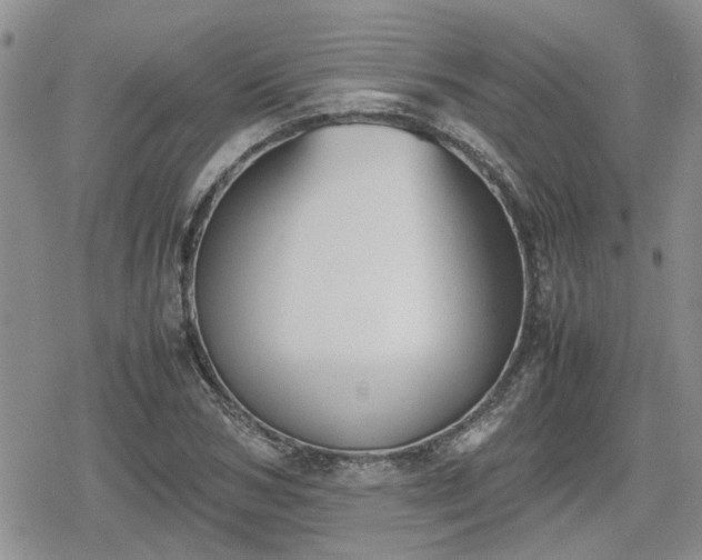 X0000078840978200611201309