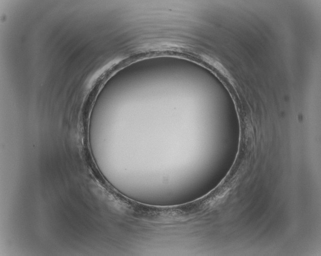 X0000078840979200611201309