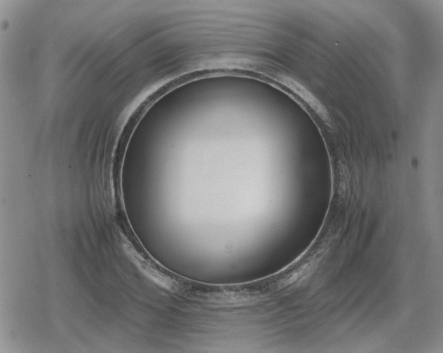 X0000078840980200611201309