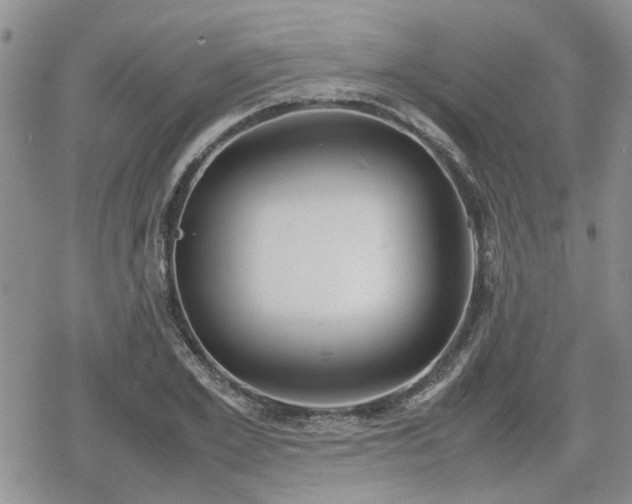 X0000078840981200611201309