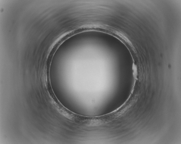 X0000078840984200611201309