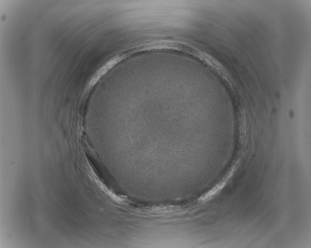 X0000078840985200611201309