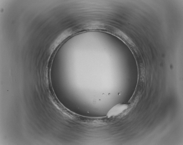 X0000078840986200611201309