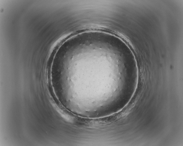 X0000078840987200611201309