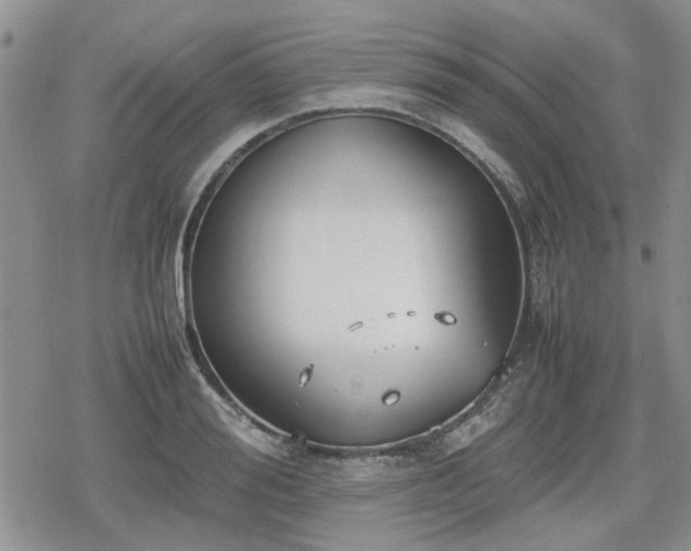 X0000078840988200611201309