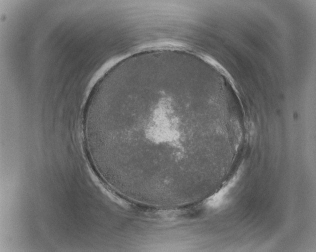 X0000078840989200611201309