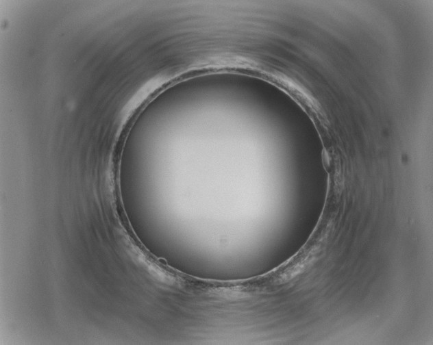 X0000078840990200611201309