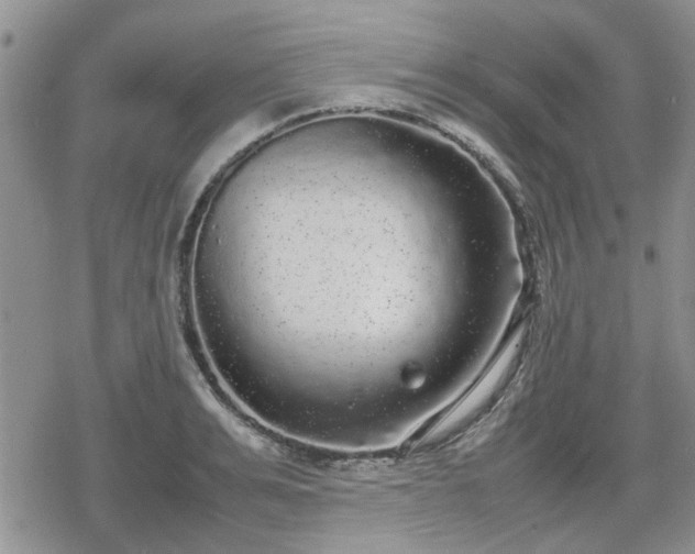 X0000078840991200611201309