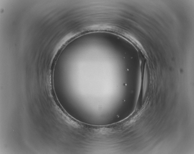 X0000078840992200611201309