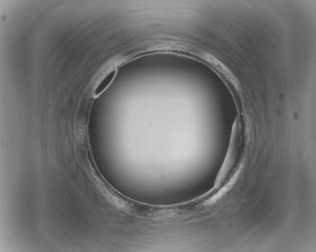 X0000078840993200611201309