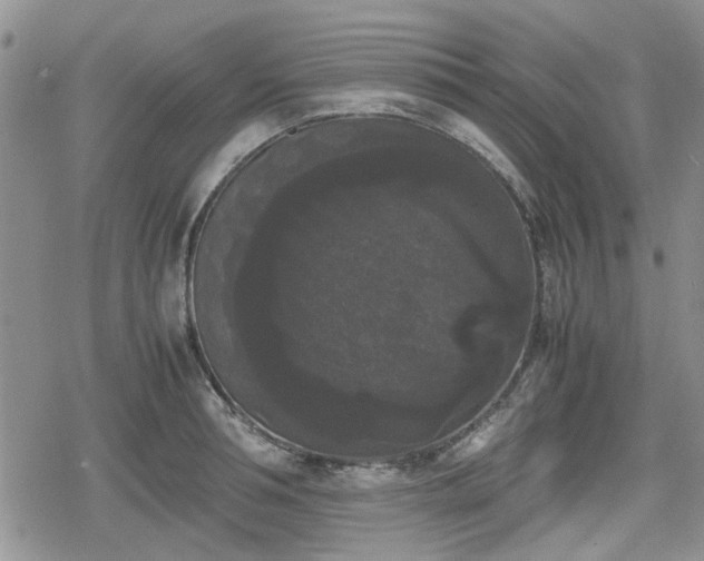 X0000078840994200611201309