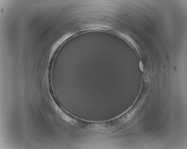 X0000078840995200611201309