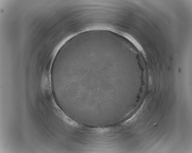 X0000078840996200611201309