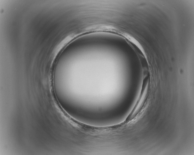 X0000078840997200611201308